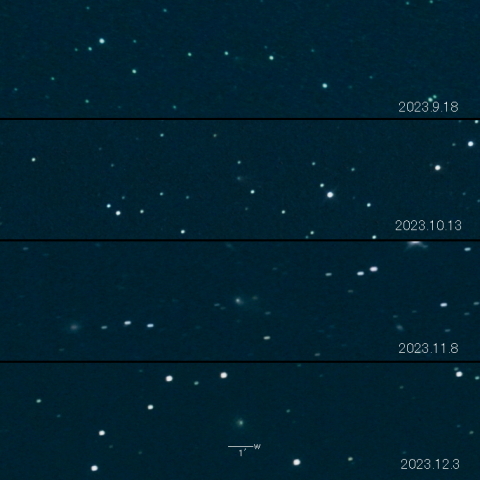 32P（ComasSola）の変化