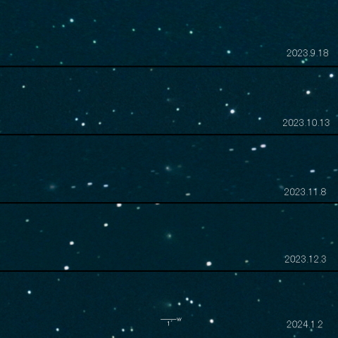 32P（ComasSola）の変化