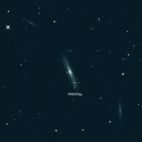 SN2024gy（NGC4216）