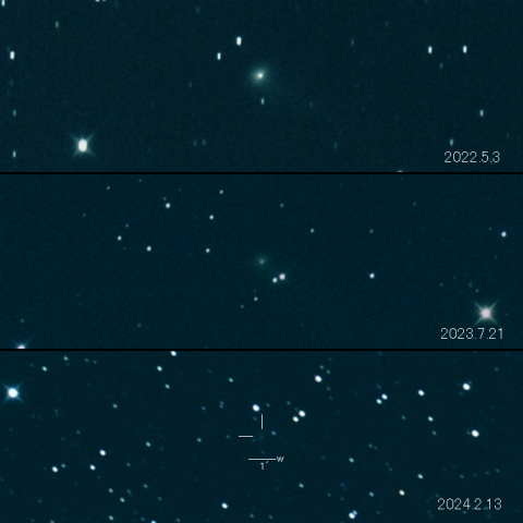 C/2019 T4 (ATLAS) の変化