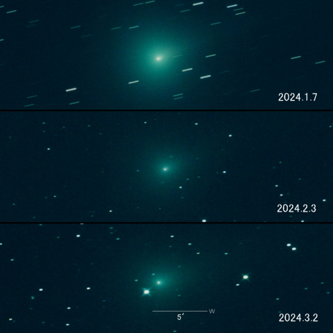 62P（Tsuchinshan） の変化