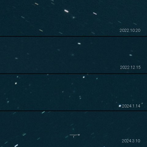 C/2021 T4 (Lemmon) の変化