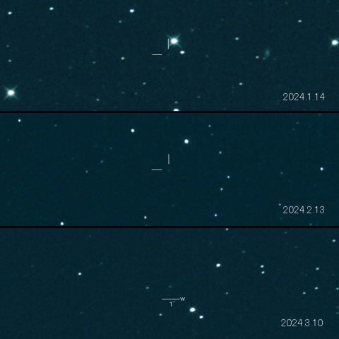  65P（Gunn）の変化