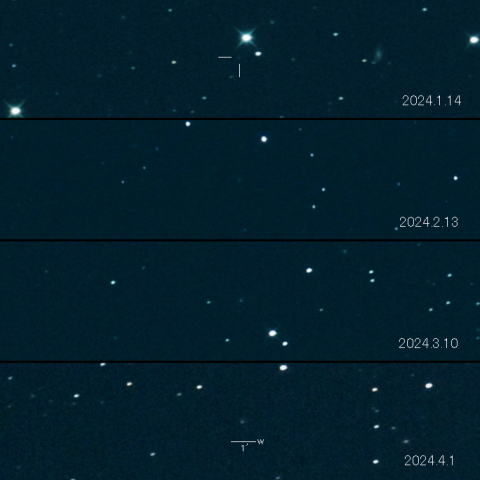 65P（Gunn）の変化