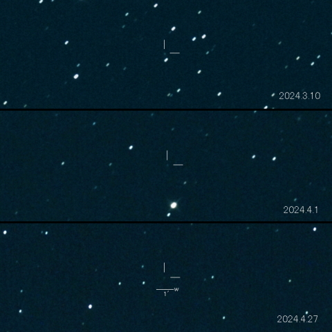 C/2023 H5 (Lemmon) の変化