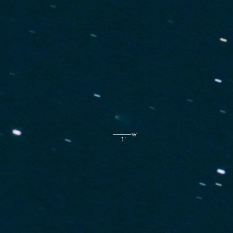 130P（McNaught-Hughes）