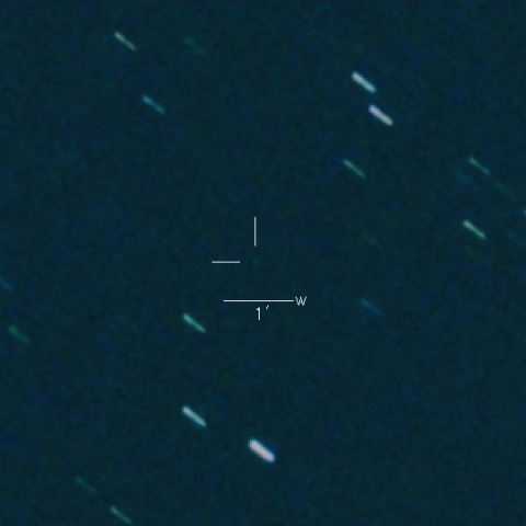 328P(LONEOS-Tucker)