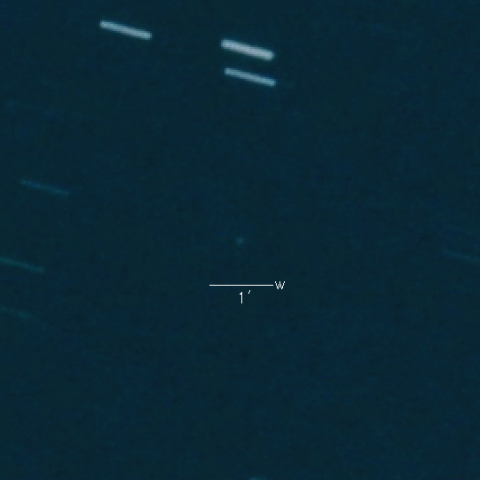 C/2023 TD22 (Lemmon) 