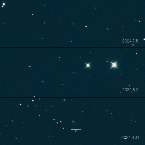 C/2022 N2 (PANSTARRS) の変化