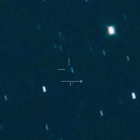 338P(McNaught)