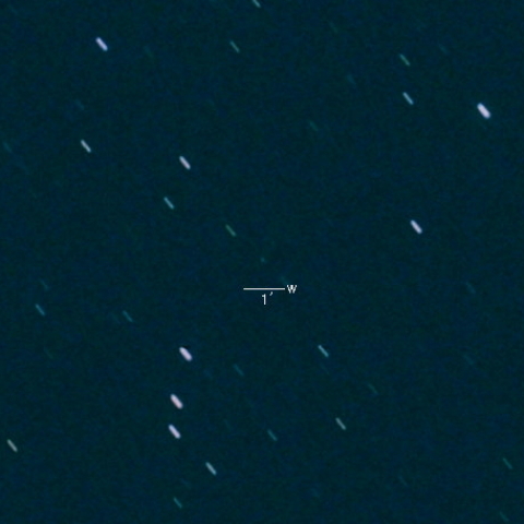 P/2024 N5 ( Siding Spring )