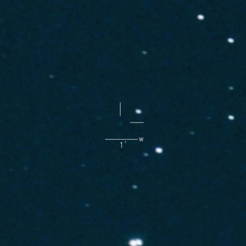 190P(Mueller)