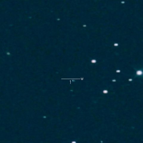 54P(deVico-Swift-NEAT)