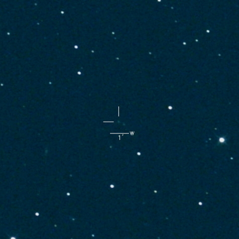 43P（Wolf-Harrington）