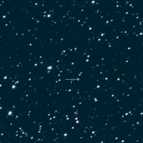 472P(NEAT-LINEAR)