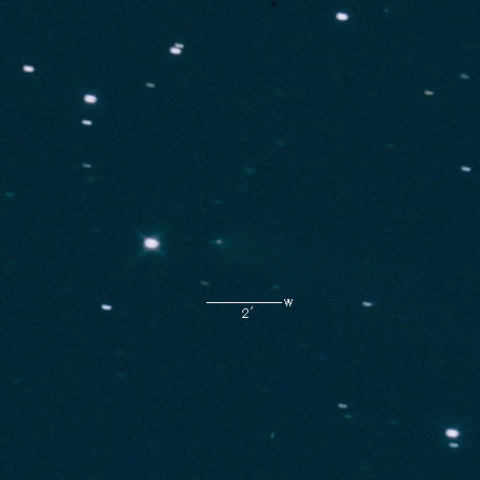130P(McNaught-Hughes)