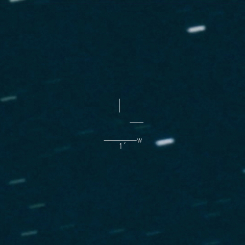 305P(Skiff)