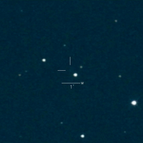 54P(deVico-Swift-NEAT)