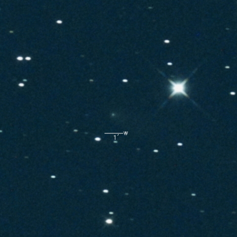 130P(McNaught-Hughes)