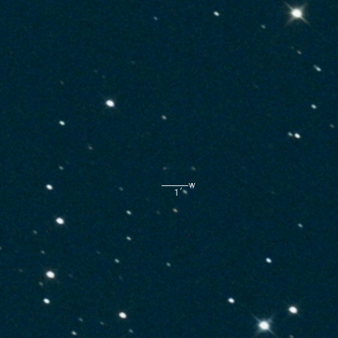 276P(Vorobjov)