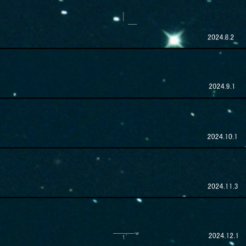 253P（PANSTARRS）の変化