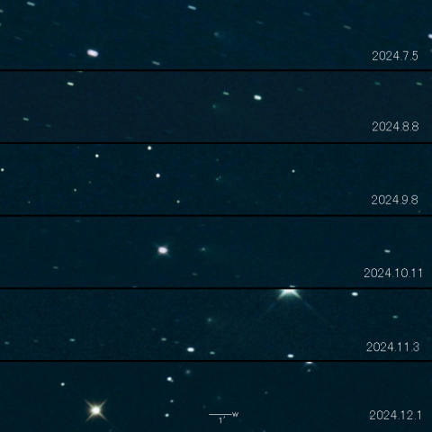 130P(McNaught-Hughes)の変化