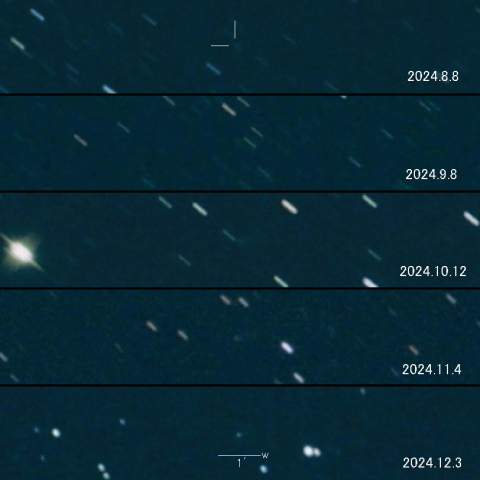C/2023 Q1 (PANSTARRS) の変化