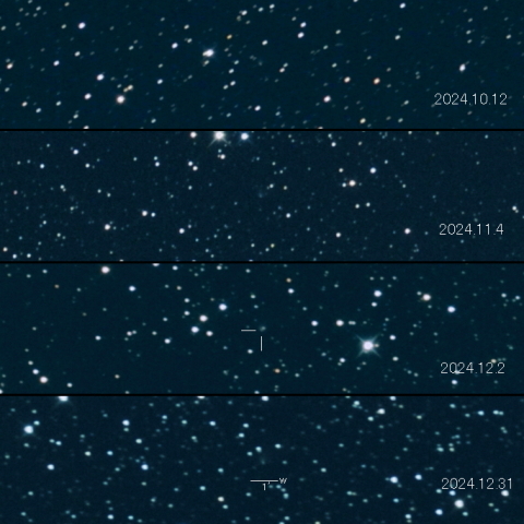 472P(NEAT-LINEAR)  の変化