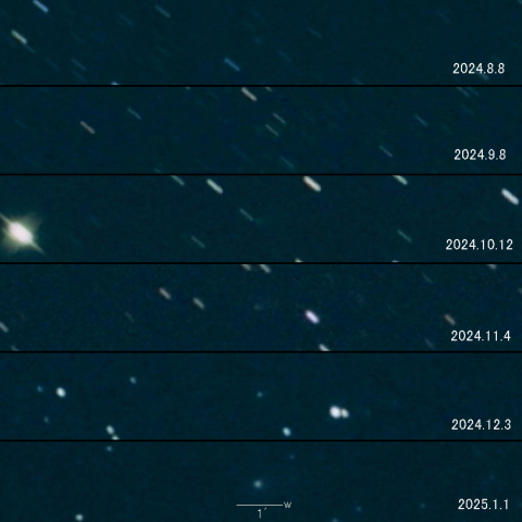 C/2023 Q1 (PANSTARRS) の変化