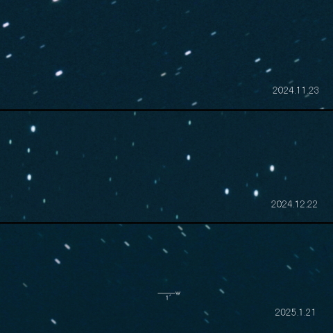 496P(Hill) の変化