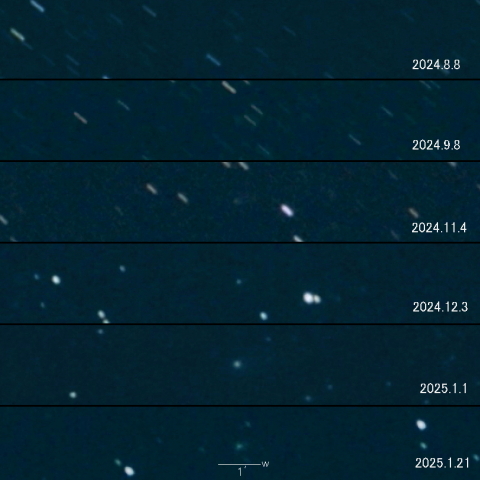 C/2023 Q1 (PANSTARRS) の変化