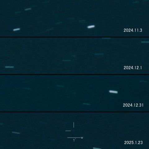 305P（Skiff ）の変化