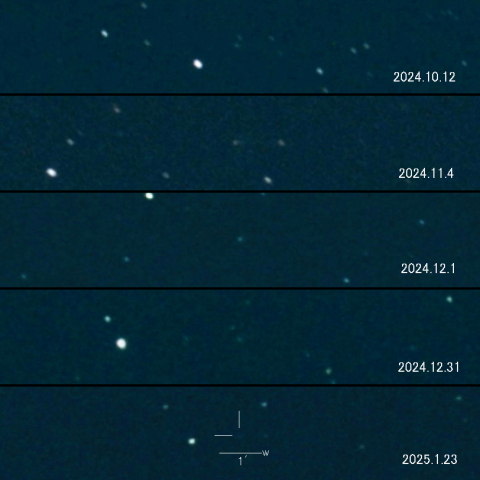 276P(Vorobjov )の変化