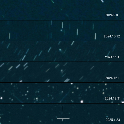 487P(SidingSpring )の変化