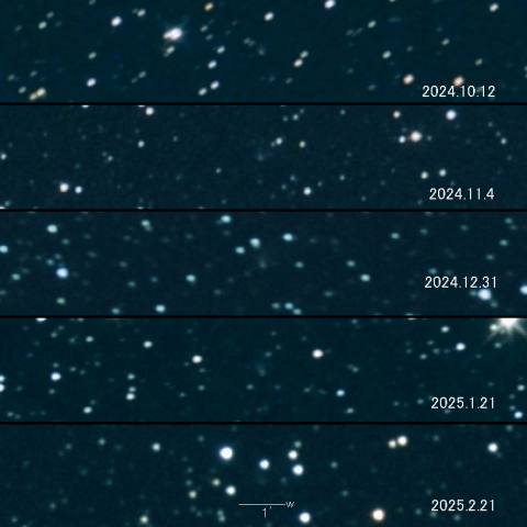 472P(NEAT-LINEAR)の変化