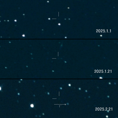 C/2024 N4 (Sarneczky) の変化