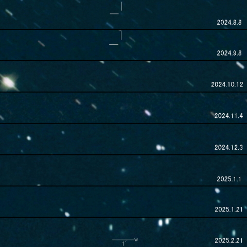 C/2023 Q1 (PANSTARRS) の変化