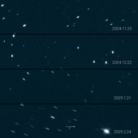 496P (Hill) の変化