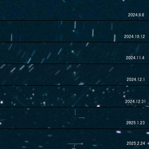 487P (SidingSpring) の変化