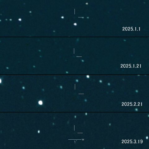 C/2024 N4 (Sarneczky) の変化