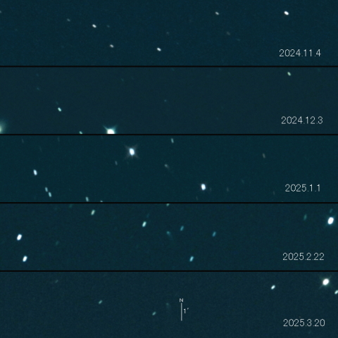 C/2023 H5 (Lemmon) の変化