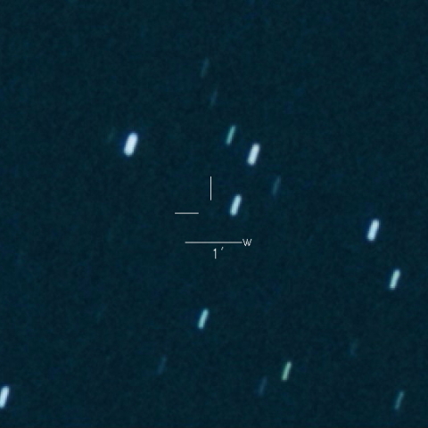 C/2024 V1 (Borisov)
