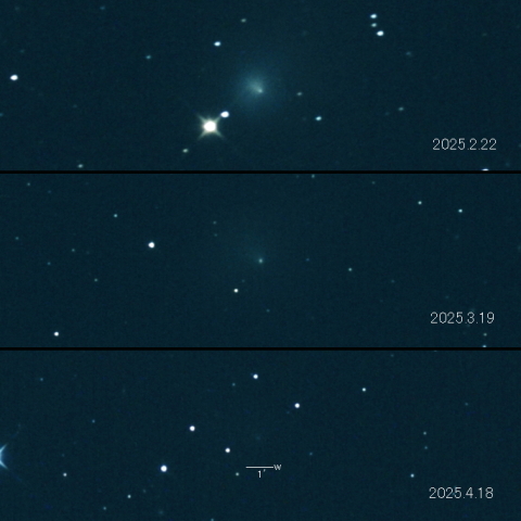 29P（Schwassmann-Wachmann）の変化