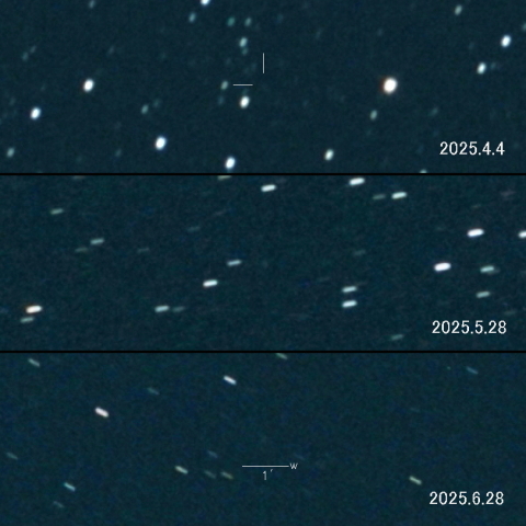 C/2023 V1 (Lemmon) の変化