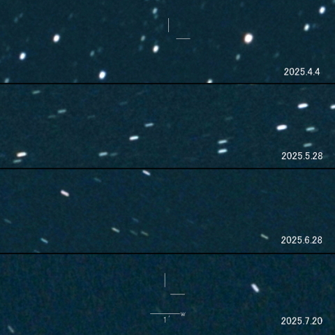C/2023 V1 (Lemmon)  の変化