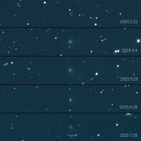 C/2021 G2 (ATLAS)  の変化