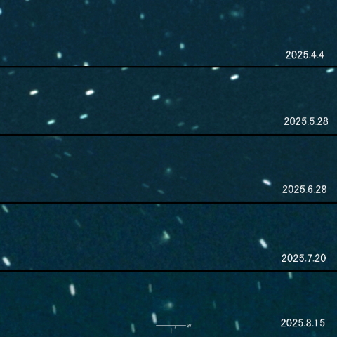 C/2024 E1 (Wierzchos)  の変化