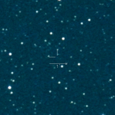 491P（Spacewatch-PANSTARRS）