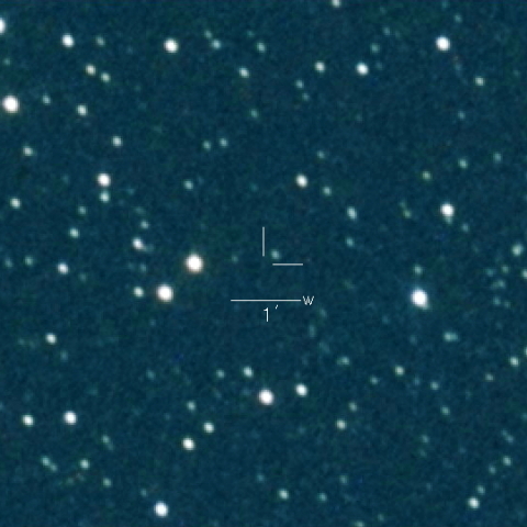 105P(SingerBrewster )