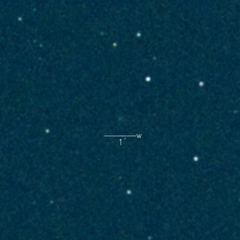 486P(Leonard)